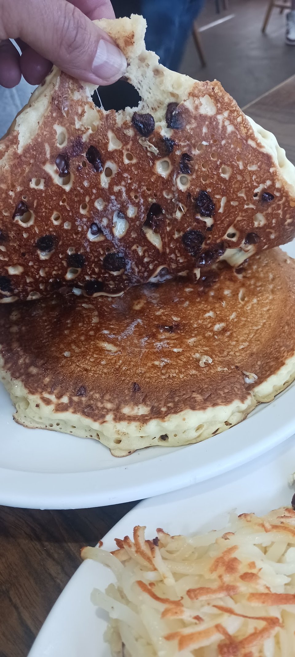Chocolate Chip